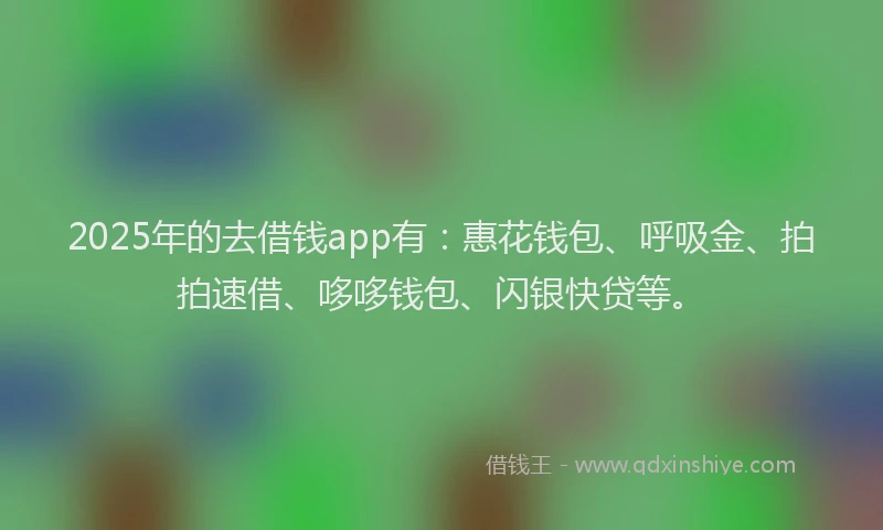 2025年的去借钱app有：惠花钱包、呼吸金、拍拍速借、哆哆钱包、闪银快贷等。