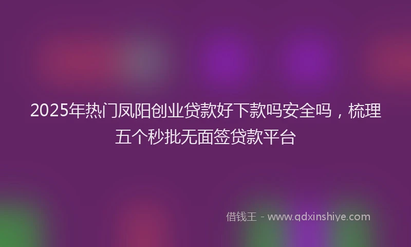 2025年热门凤阳创业贷款好下款吗安全吗，梳理五个秒批无面签贷款平台