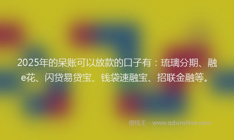 2025年的呆账可以放款的口子有：琉璃分期、融e花、闪贷易贷宝、钱袋速融宝、招联金融等。