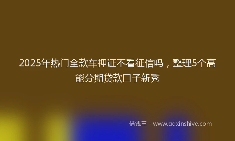 2025年热门全款车押证不看征信吗，整理5个高能分期贷款口子新秀