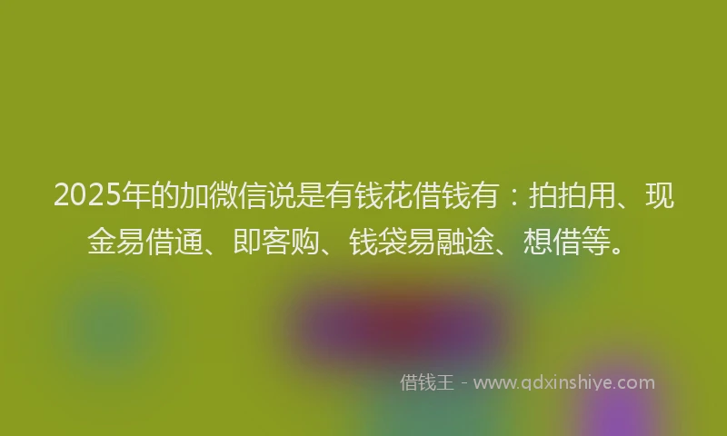 2025年的加微信说是有钱花借钱有：拍拍用、现金易借通、即客购、钱袋易融途、想借等。