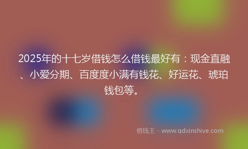2025年的十七岁借钱怎么借钱最好有：现金直融、小爱分期、百度度小满有钱花、好运花、琥珀钱包等。