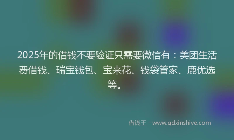 2025年的借钱不要验证只需要微信有：美团生活费借钱、瑞宝钱包、宝来花、钱袋管家、鹿优选等。