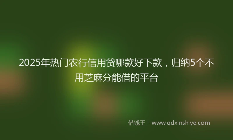 2025年热门农行信用贷哪款好下款，归纳5个不用芝麻分能借的平台