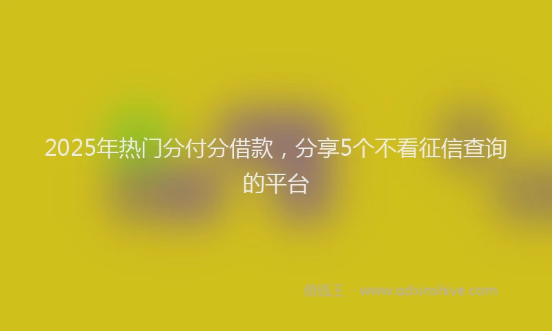2025年热门分付分借款，分享5个不看征信查询的平台