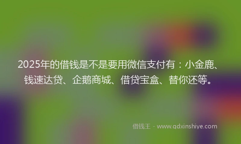 2025年的借钱是不是要用微信支付有：小金鹿、钱速达贷、企鹅商城、借贷宝盒、替你还等。