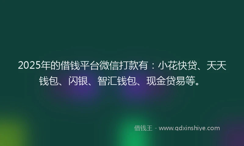 2025年的借钱平台微信打款有：小花快贷、天天钱包、闪银、智汇钱包、现金贷易等。
