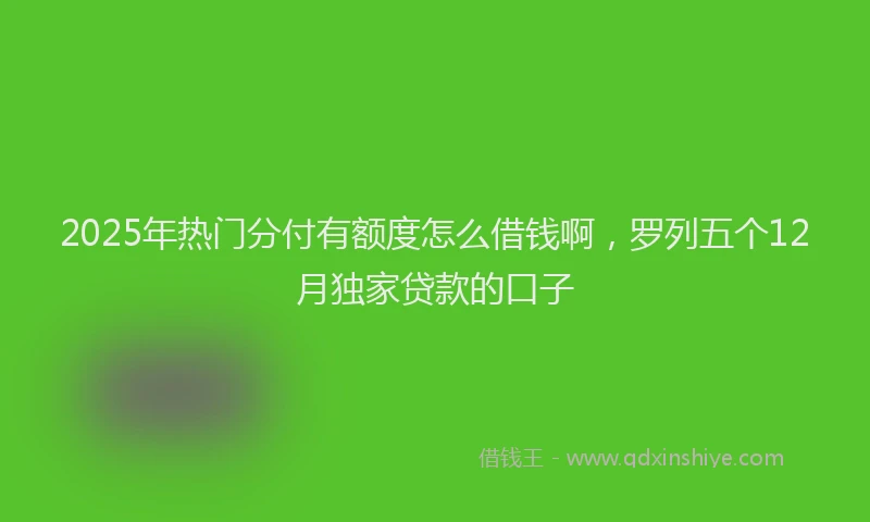 2025年热门分付有额度怎么借钱啊，罗列五个12月独家贷款的口子