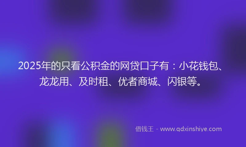 2025年的只看公积金的网贷口子有：小花钱包、龙龙用、及时租、优者商城、闪银等。