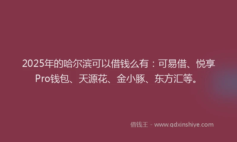 2025年的哈尔滨可以借钱么有：可易借、悦享Pro钱包、天源花、金小豚、东方汇等。