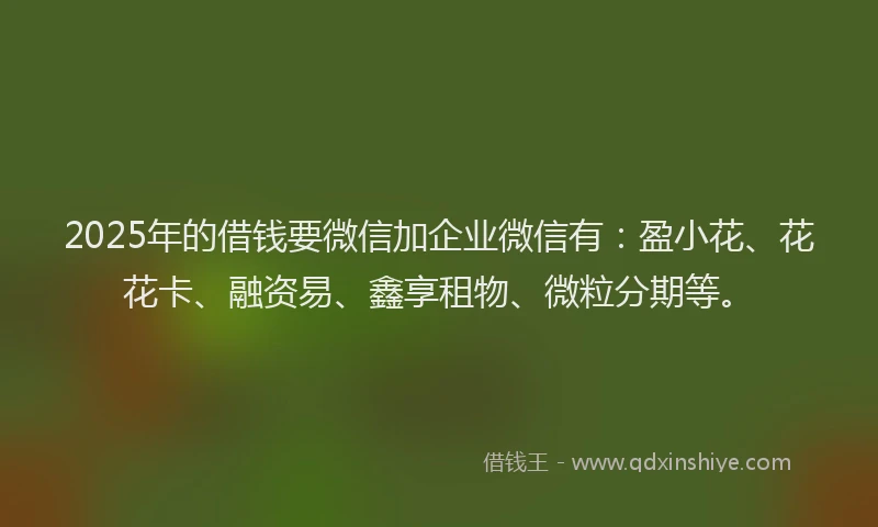2025年的借钱要微信加企业微信有：盈小花、花花卡、融资易、鑫享租物、微粒分期等。