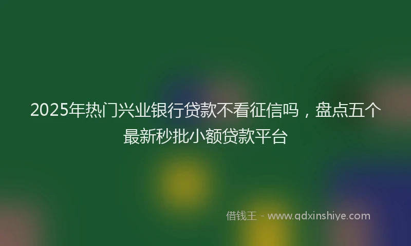 2025年热门兴业银行贷款不看征信吗，盘点五个最新秒批小额贷款平台
