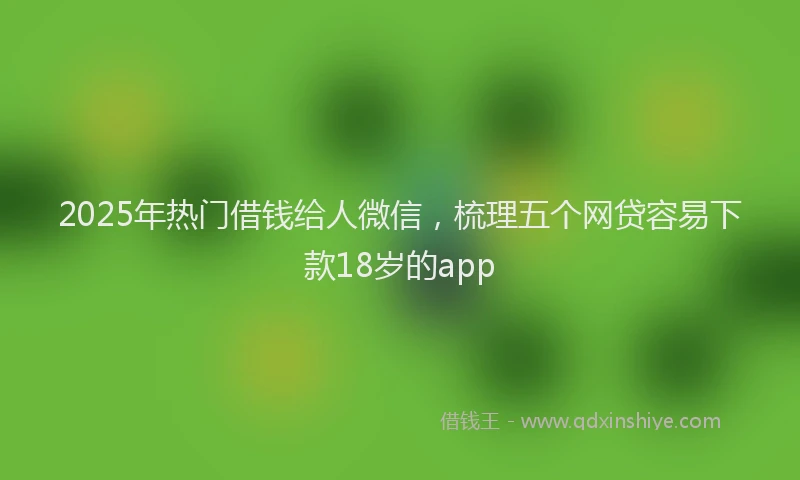 2025年热门借钱给人微信，梳理五个网贷容易下款18岁的app