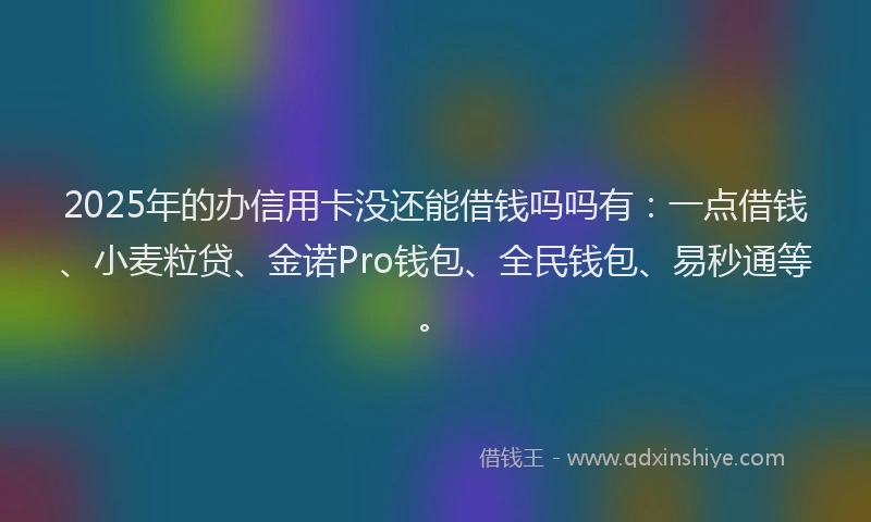 2025年的办信用卡没还能借钱吗吗有：一点借钱、小麦粒贷、金诺Pro钱包、全民钱包、易秒通等。