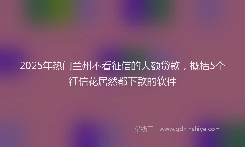 2025年热门兰州不看征信的大额贷款，概括5个征信花居然都下款的软件