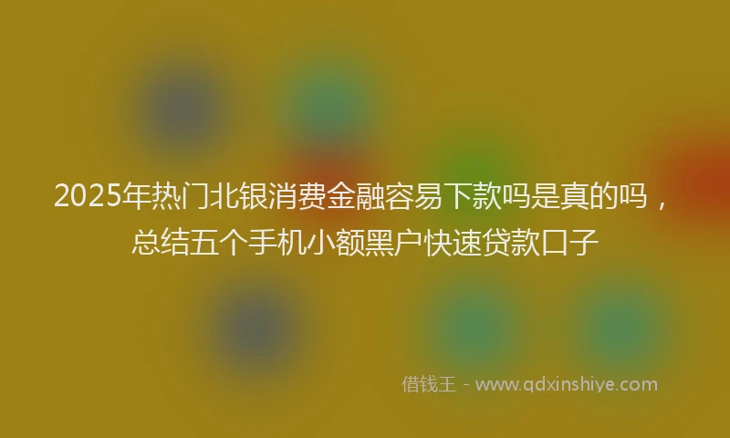 2025年热门北银消费金融容易下款吗是真的吗，总结五个手机小额黑户快速贷款口子