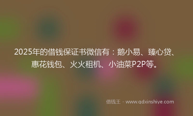 2025年的借钱保证书微信有：鹅小易、臻心贷、惠花钱包、火火租机、小油菜P2P等。