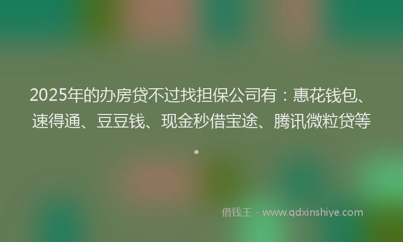 2025年的办房贷不过找担保公司有：惠花钱包、速得通、豆豆钱、现金秒借宝途、腾讯微粒贷等。