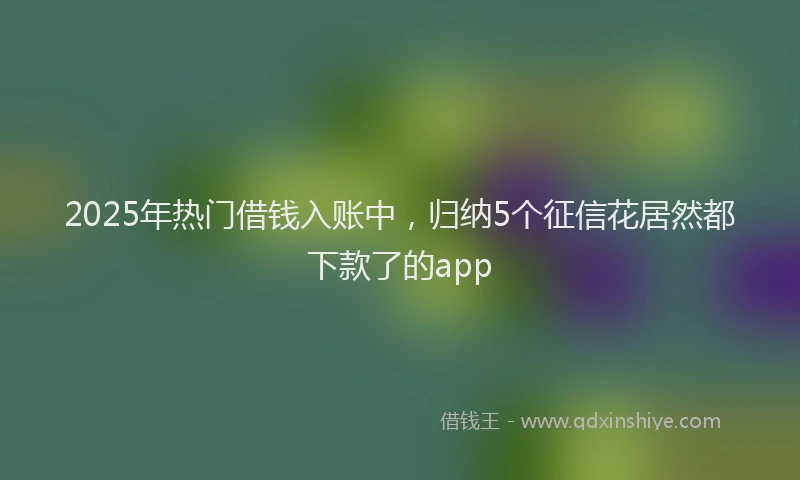 2025年热门借钱入账中，归纳5个征信花居然都下款了的app