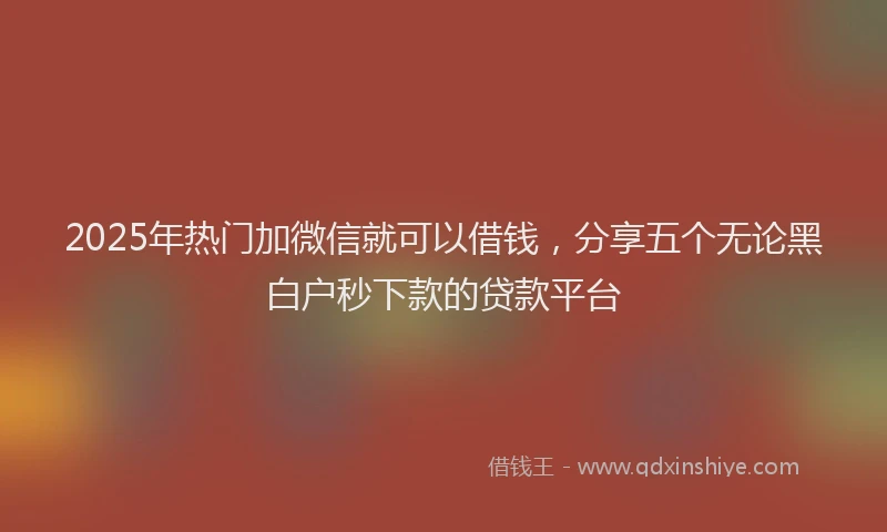 2025年热门加微信就可以借钱，分享五个无论黑白户秒下款的贷款平台