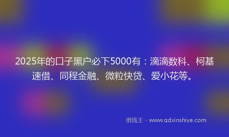 2025年的口子黑户必下5000有：滴滴数科、柯基速借、同程金融、微粒快贷、爱小花等。