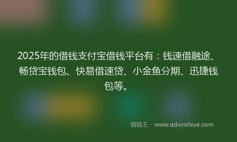 2025年的借钱支付宝借钱平台有：钱速借融途、畅贷宝钱包、快易借速贷、小金鱼分期、迅捷钱包等。