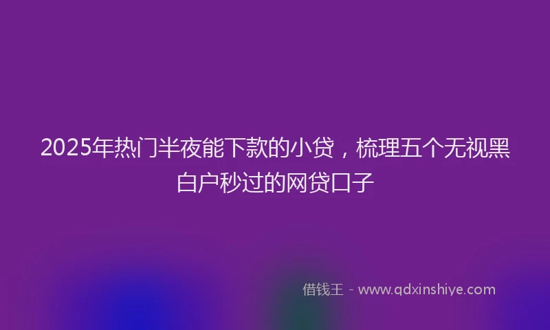 2025年热门半夜能下款的小贷，梳理五个无视黑白户秒过的网贷口子