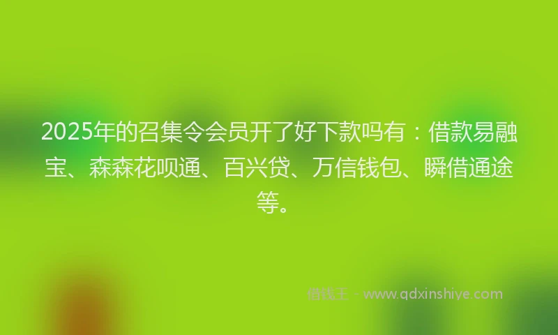 2025年的召集令会员开了好下款吗有：借款易融宝、森森花呗通、百兴贷、万信钱包、瞬借通途等。
