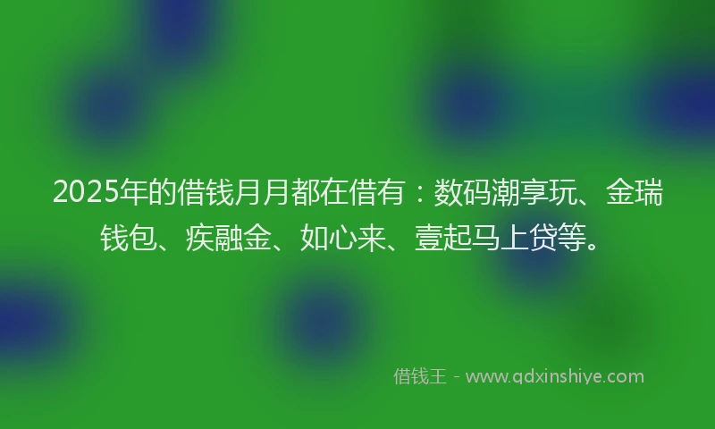 2025年的借钱月月都在借有：数码潮享玩、金瑞钱包、疾融金、如心来、壹起马上贷等。
