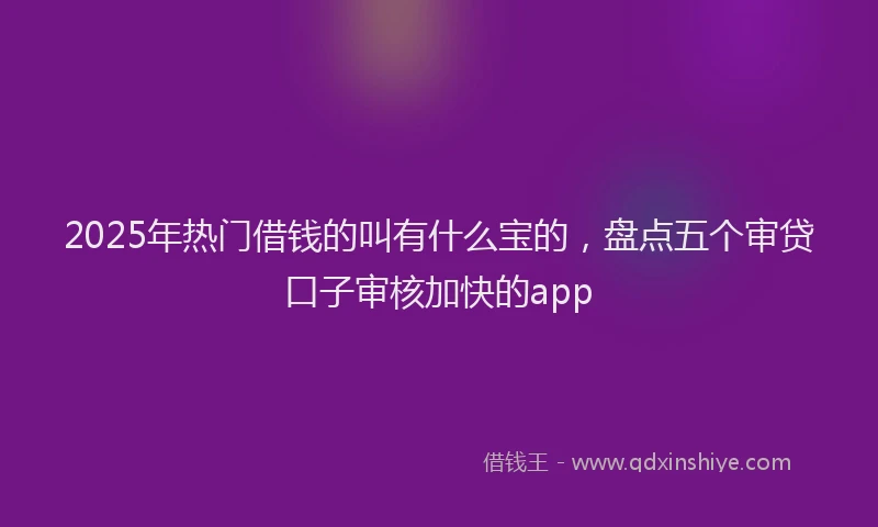 2025年热门借钱的叫有什么宝的，盘点五个审贷口子审核加快的app