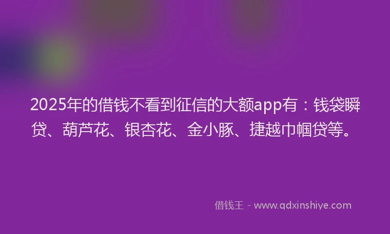 2025年的借钱不看到征信的大额app有：钱袋瞬贷、葫芦花、银杏花、金小豚、捷越巾帼贷等。