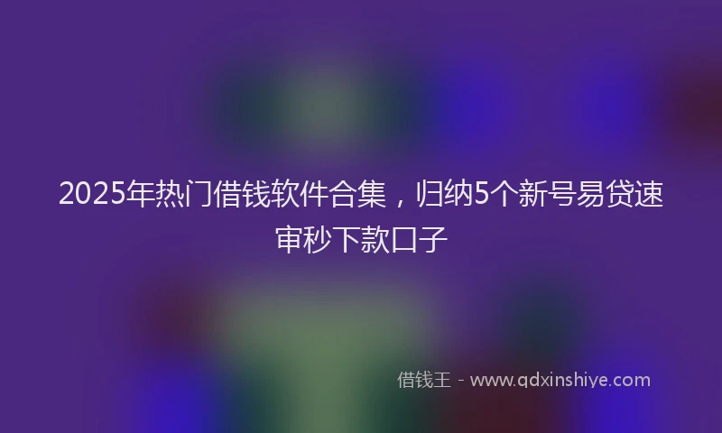 2025年热门借钱软件合集，归纳5个新号易贷速审秒下款口子