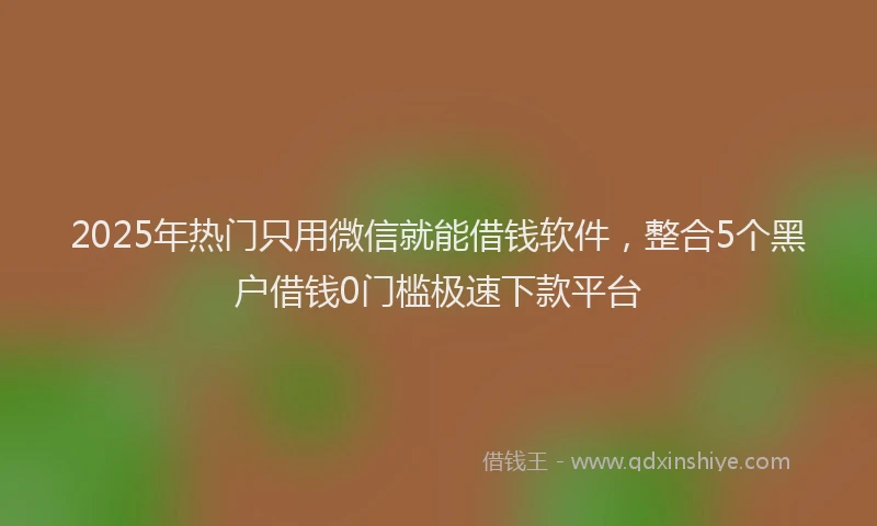 2025年热门只用微信就能借钱软件，整合5个黑户借钱0门槛极速下款平台