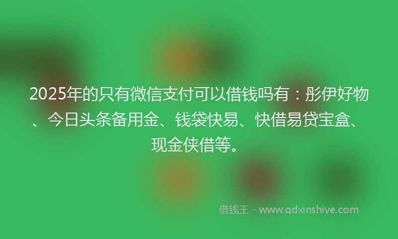 2025年的只有微信支付可以借钱吗有：彤伊好物、今日头条备用金、钱袋快易、快借易贷宝盒、现金侠借等。