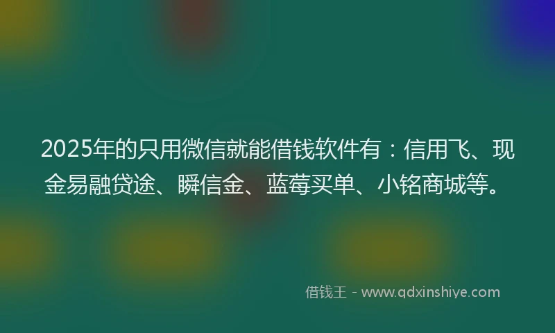 2025年的只用微信就能借钱软件有：信用飞、现金易融贷途、瞬信金、蓝莓买单、小铭商城等。