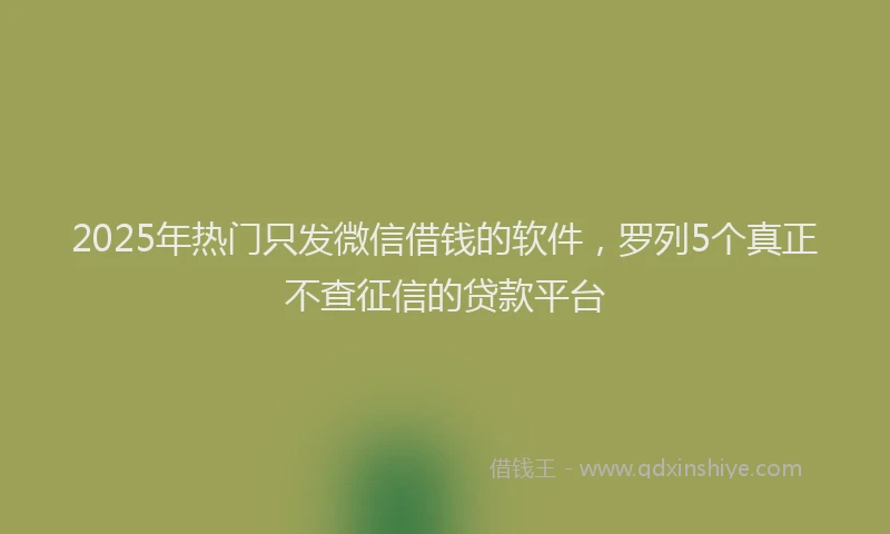 2025年热门只发微信借钱的软件，罗列5个真正不查征信的贷款平台