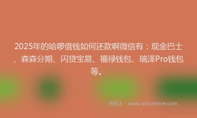 2025年的哈啰借钱如何还款啊微信有：现金巴士、森森分期、闪贷宝易、福禄钱包、瑞泽Pro钱包等。