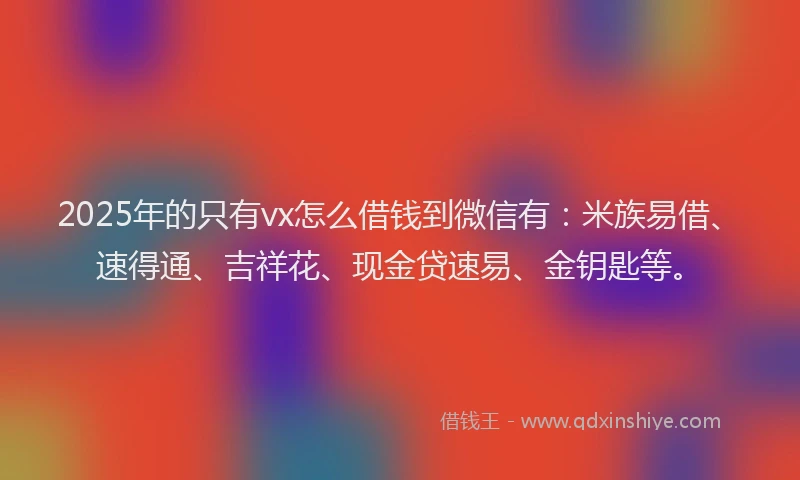 2025年的只有vx怎么借钱到微信有：米族易借、速得通、吉祥花、现金贷速易、金钥匙等。