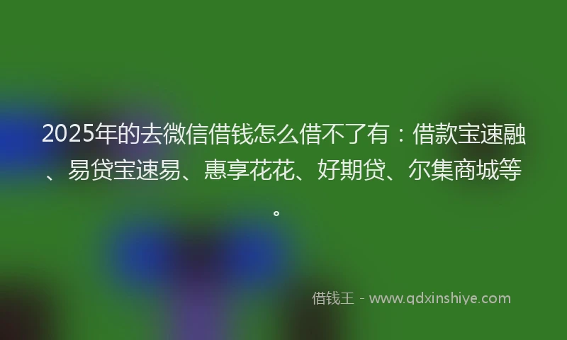 2025年的去微信借钱怎么借不了有：借款宝速融、易贷宝速易、惠享花花、好期贷、尔集商城等。