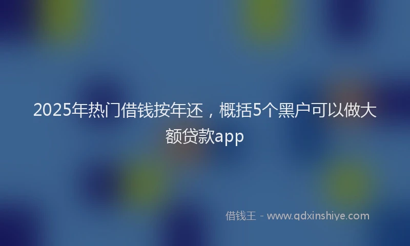 2025年热门借钱按年还，概括5个黑户可以做大额贷款app