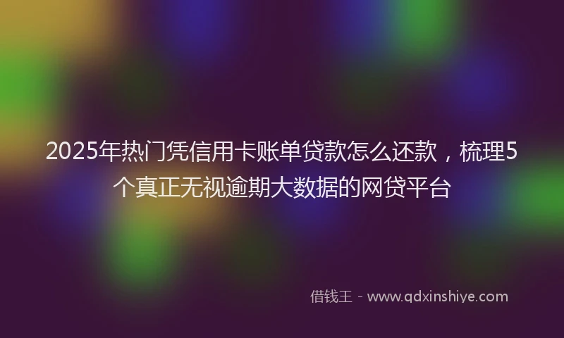 2025年热门凭信用卡账单贷款怎么还款，梳理5个真正无视逾期大数据的网贷平台
