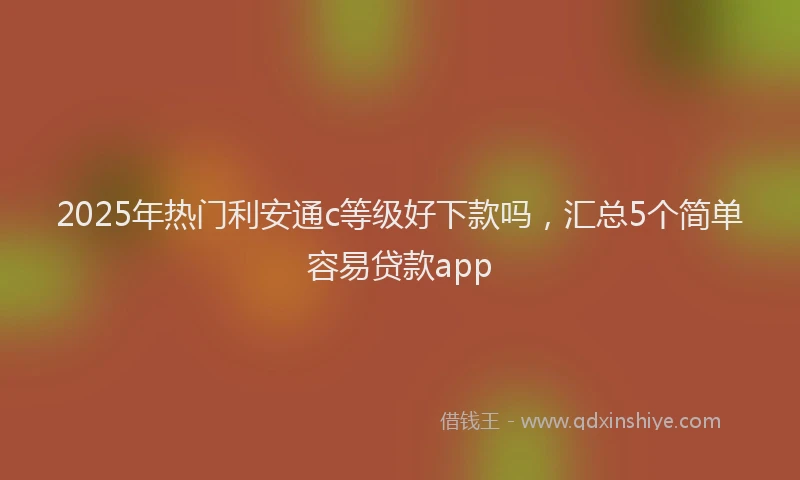 2025年热门利安通c等级好下款吗，汇总5个简单容易贷款app