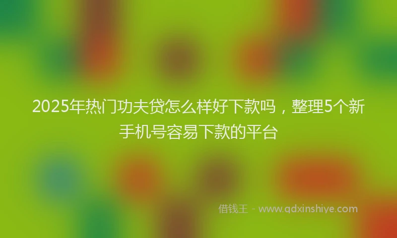 2025年热门功夫贷怎么样好下款吗，整理5个新手机号容易下款的平台