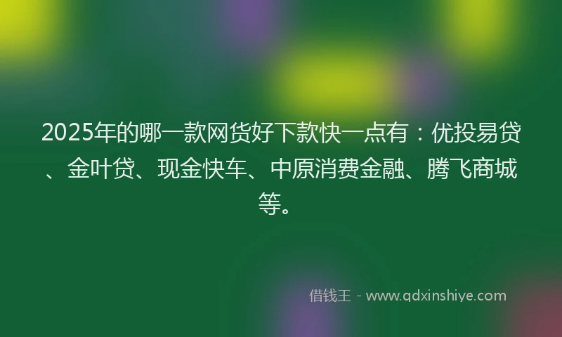 2025年的哪一款网货好下款快一点有：优投易贷、金叶贷、现金快车、中原消费金融、腾飞商城等。
