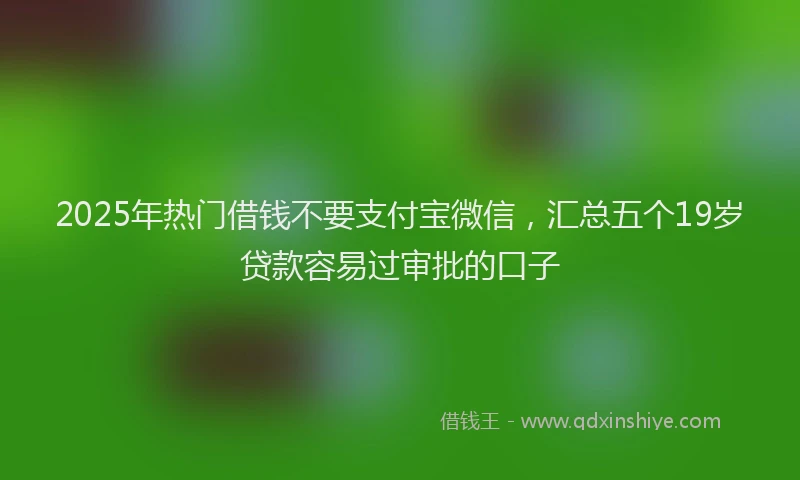 2025年热门借钱不要支付宝微信，汇总五个19岁贷款容易过审批的口子
