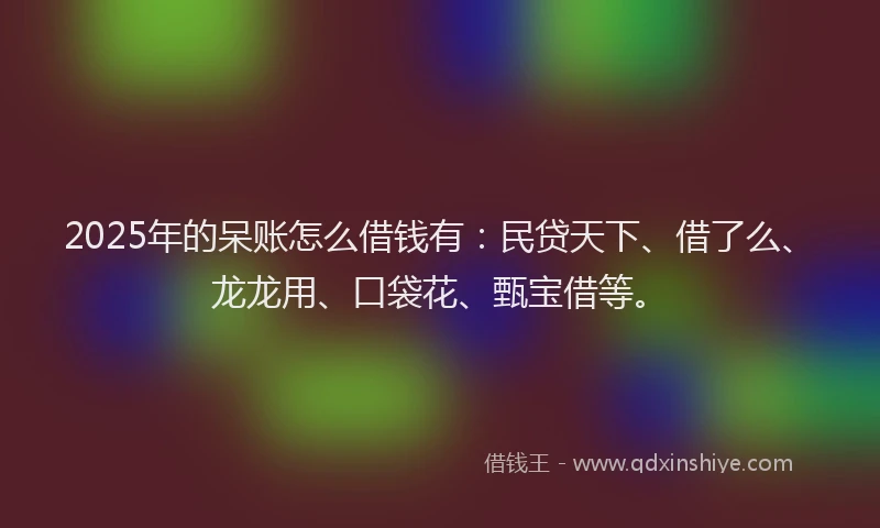 2025年的呆账怎么借钱有：民贷天下、借了么、龙龙用、口袋花、甄宝借等。