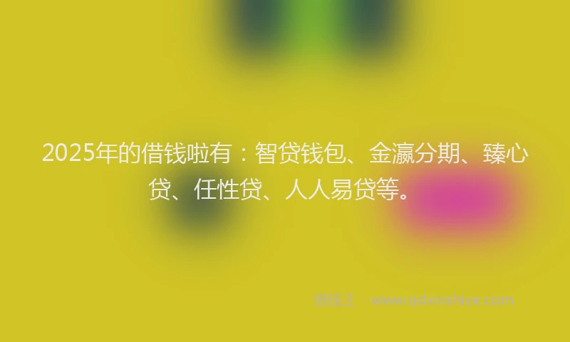 2025年的借钱啦有：智贷钱包、金瀛分期、臻心贷、任性贷、人人易贷等。