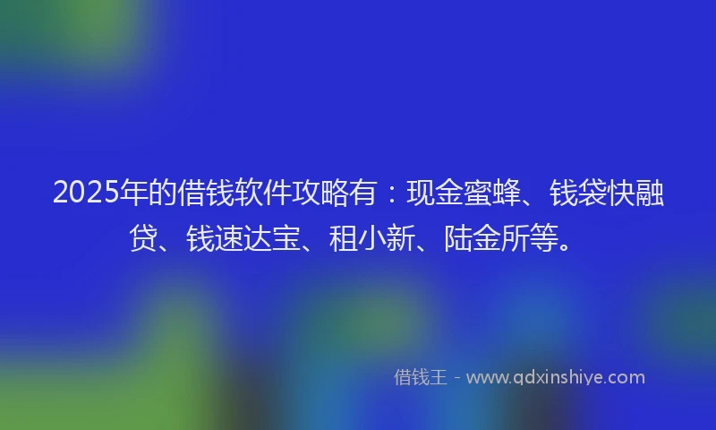 2025年的借钱软件攻略有：现金蜜蜂、钱袋快融贷、钱速达宝、租小新、陆金所等。