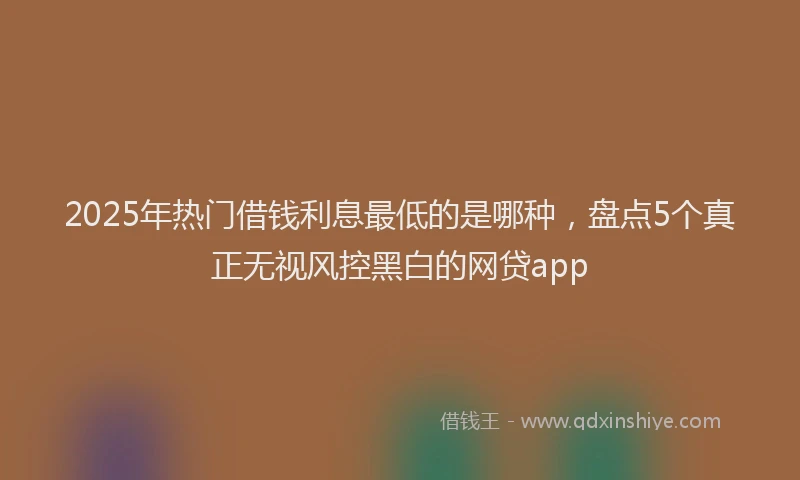 2025年热门借钱利息最低的是哪种，盘点5个真正无视风控黑白的网贷app