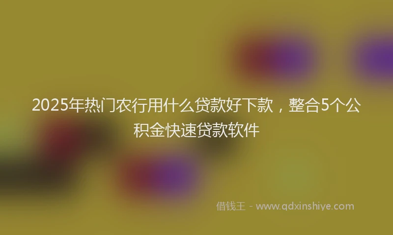 2025年热门农行用什么贷款好下款，整合5个公积金快速贷款软件